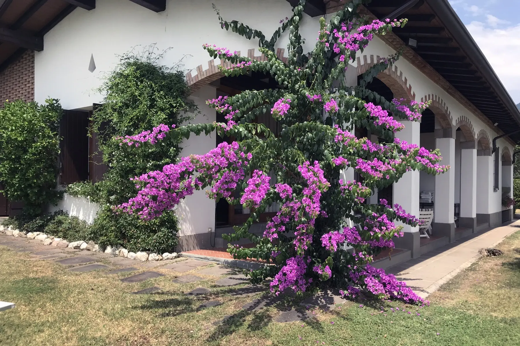 The porch with bougainvillea