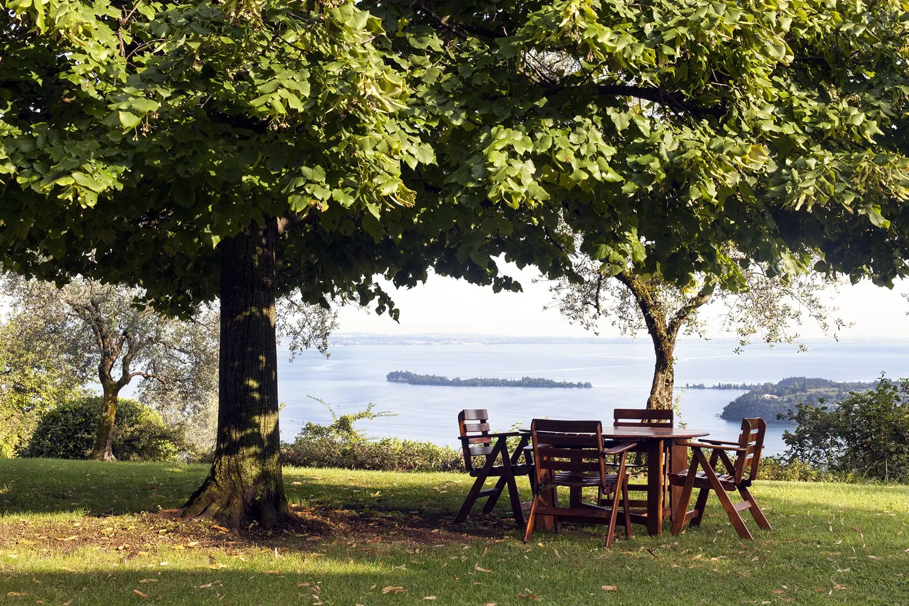 Table under the lime tree with lake view